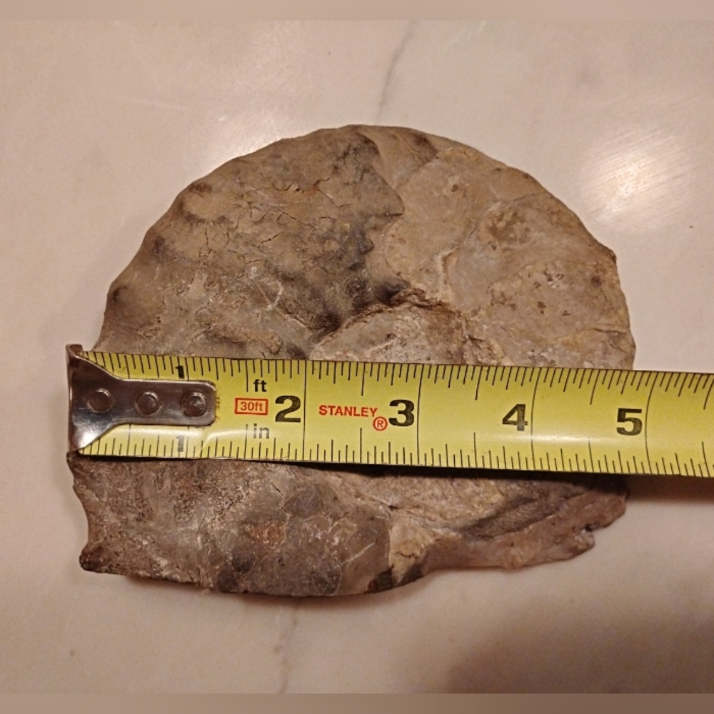 Ammonite Fossil Authentic Matched Pair Set Polished Natural Eco Decor Bookends - Picture 8 of 10